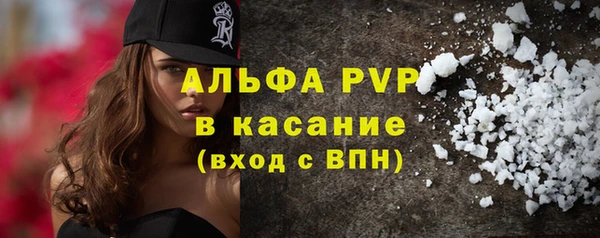 ГАЛЛЮЦИНОГЕННЫЕ ГРИБЫ Новозыбков