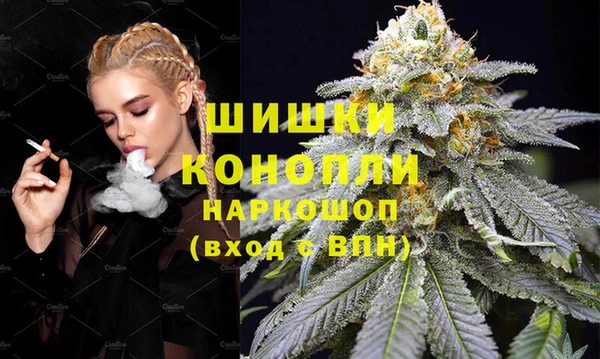 ГАЛЛЮЦИНОГЕННЫЕ ГРИБЫ Новозыбков