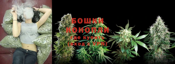 ешки Нефтекумск